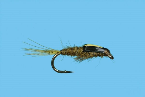 Split Case - BWO - Flies - Fly Fish Food