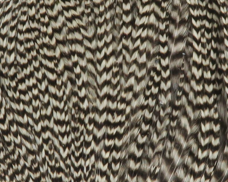 Dry Fly Neck Chunks - Hackle - Fly Fish Food