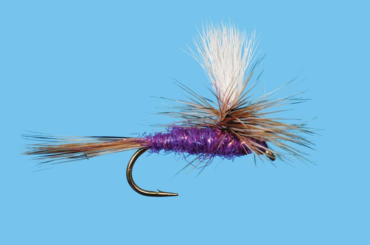Para Adams - Sparkle Purple - Flies - Fly Fish Food