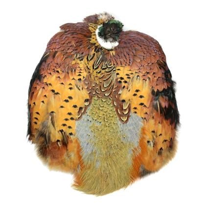 Ringneck Pheasant Skin - Feathers &amp; Marabou - Fly Fish Food