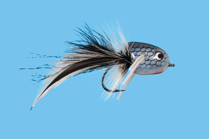 Slider - Luna - Flies - Fly Fish Food