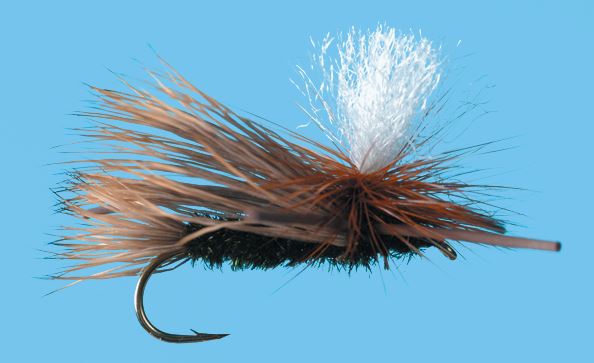 Para. X - Peacock Body - Flies - Fly Fish Food