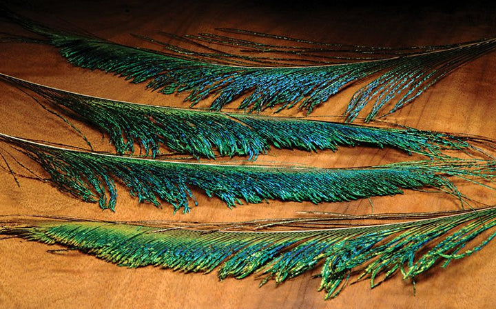 Hareline Peacock Swords - Feathers &amp; Marabou - Fly Fish Food