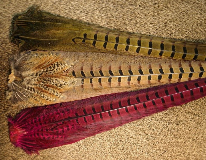 Ringneck Pheasant Tail Clumps - Feathers &amp; Marabou - Fly Fish Food