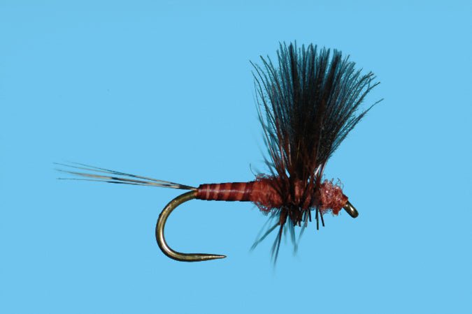 Harrop&