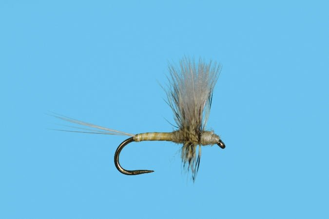 Harrop&