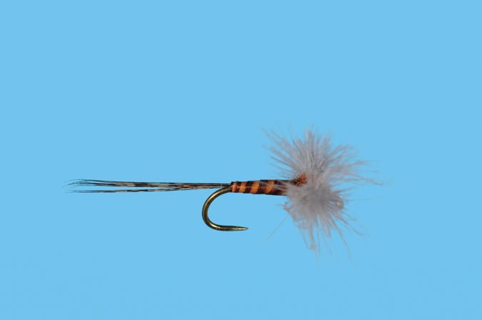 CDC Biot Rusty Spinner - Flies - Fly Fish Food