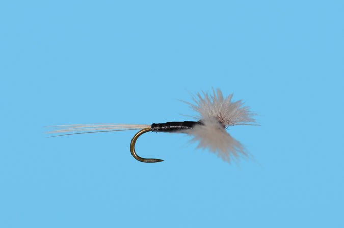CDC Trico Spinner - Flies - Fly Fish Food
