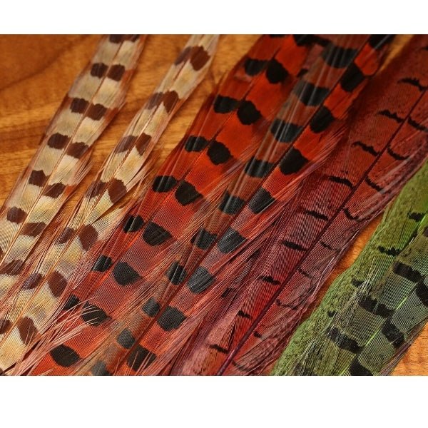 UV2 Ringneck Pheasant Tail - Feathers & Marabou - Fly Fish Food