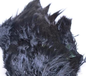 Fish Hunter Ringneck Pheasant Rump Patch - Feathers & Marabou - Fly Fish Food