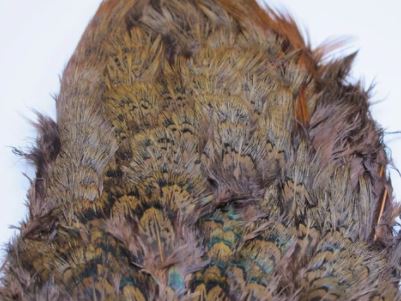 Fish Hunter Ringneck Pheasant Rump Patch - Feathers & Marabou - Fly Fish Food