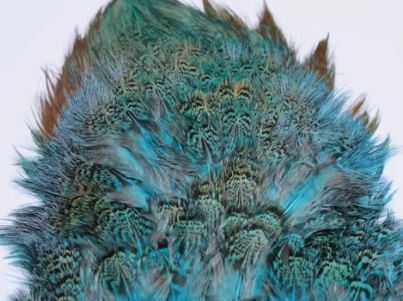 Fish Hunter Ringneck Pheasant Rump Patch - Feathers & Marabou - Fly Fish Food