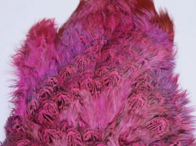 Fish Hunter Ringneck Pheasant Rump Patch - Feathers & Marabou - Fly Fish Food