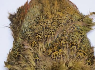 Fish Hunter Ringneck Pheasant Rump Patch - Feathers & Marabou - Fly Fish Food