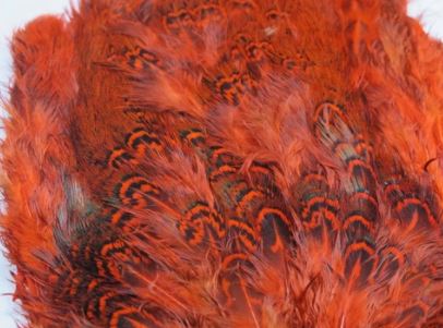 Fish Hunter Ringneck Pheasant Rump Patch - Feathers & Marabou - Fly Fish Food