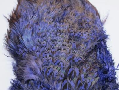 Fish Hunter Ringneck Pheasant Rump Patch - Feathers & Marabou - Fly Fish Food