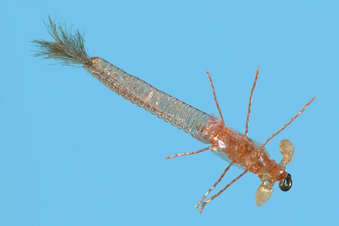 Ultra Damsel Nymph - Tan - Flies - Fly Fish Food