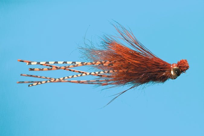 Crazy Dad Streamer sz 8 - Pumpkin - Flies - Fly Fish Food