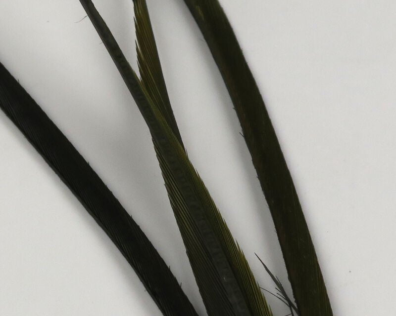 Stripped Goose Biots - Feathers & Marabou - Fly Fish Food