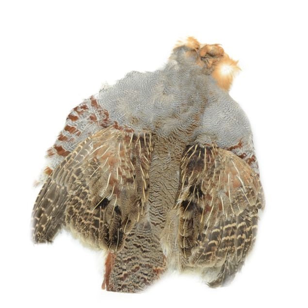Nature's Spirit Select Partridge Skin, Natural - Feathers & Marabou - Fly Fish Food