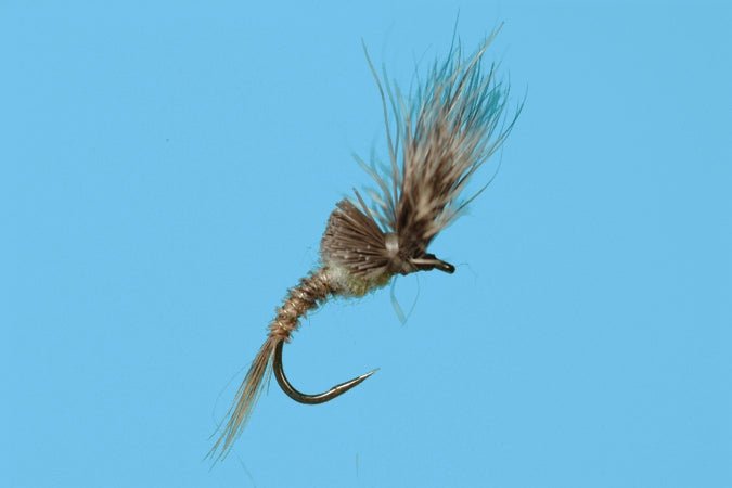 Morris May Emerger - PMD - Flies - Fly Fish Food
