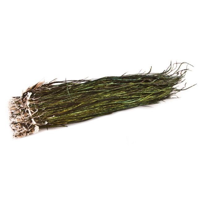 Strung Peacock Herl - Feathers & Marabou - Fly Fish Food