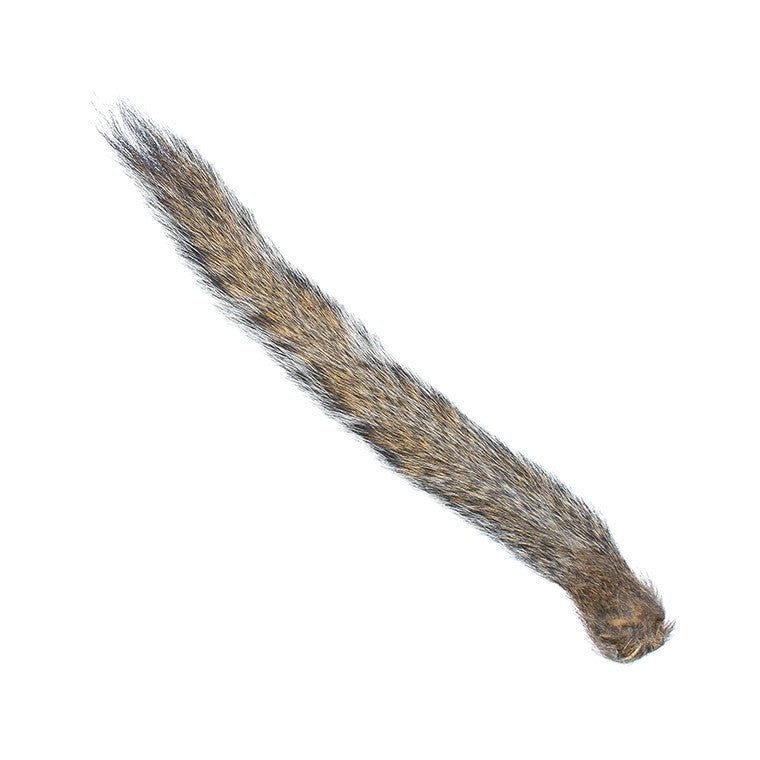 Squirrel Tail - Hair &amp; Fur - Fly Fish Food