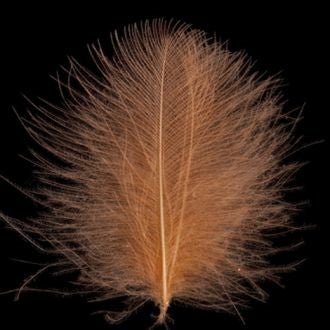 Swiss CDC 100% Natural Dyed Grade - Feathers & Marabou - Fly Fish Food