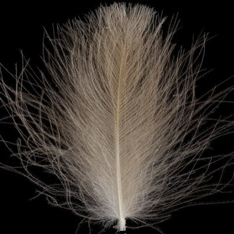 Swiss CDC Super Select Grade - Feathers &amp; Marabou - Fly Fish Food