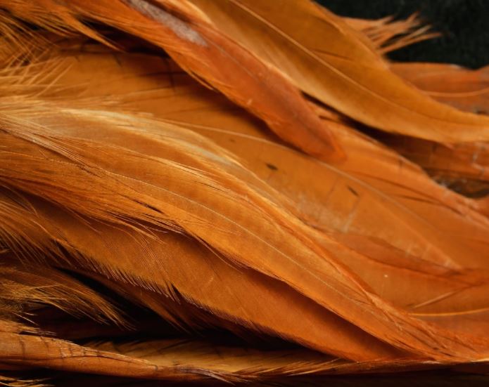 Fish Hunter Select Schlappen - Hackle - Fly Fish Food