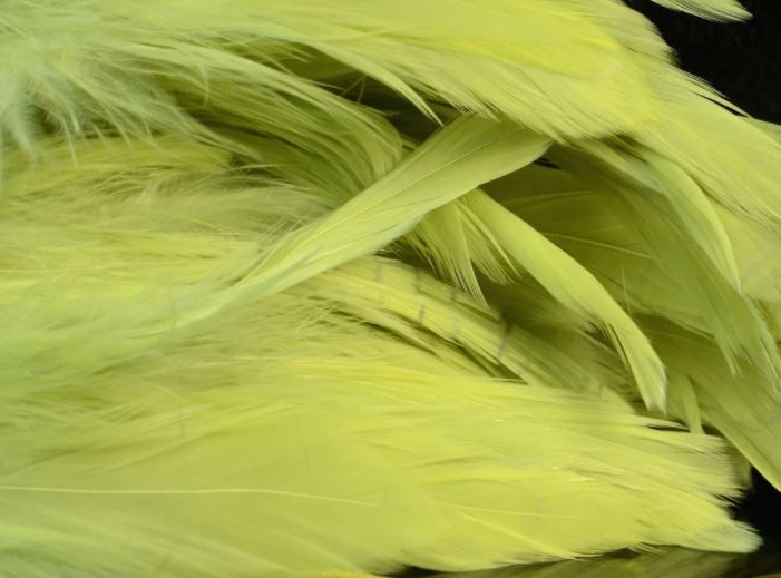 Fish Hunter Select Schlappen - Hackle - Fly Fish Food
