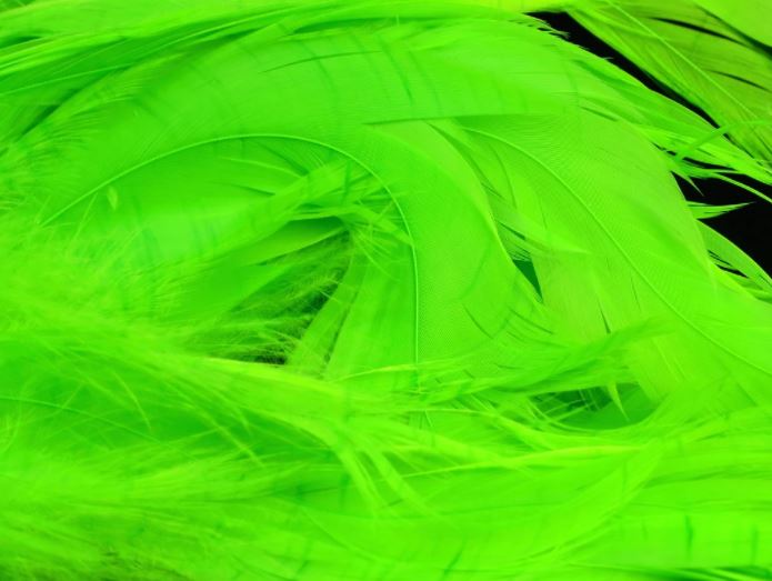 Fish Hunter Select Schlappen - Hackle - Fly Fish Food
