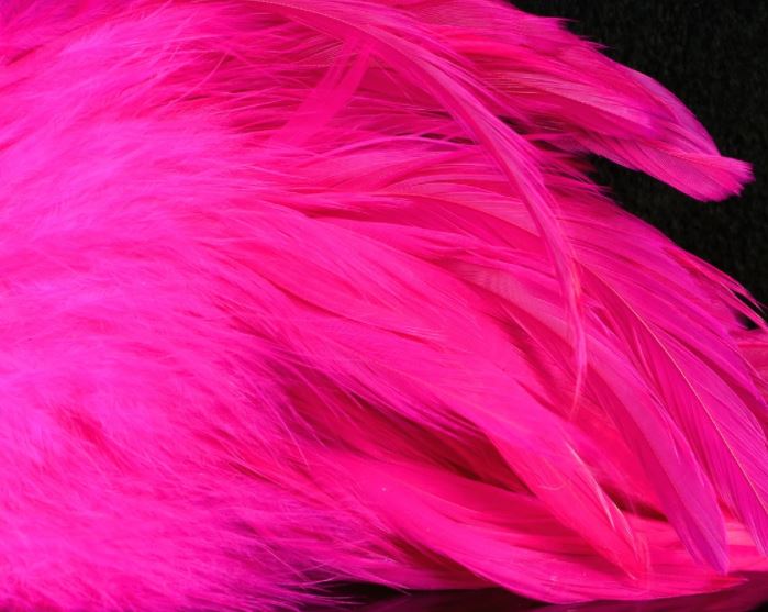Fish Hunter Select Schlappen - Hackle - Fly Fish Food