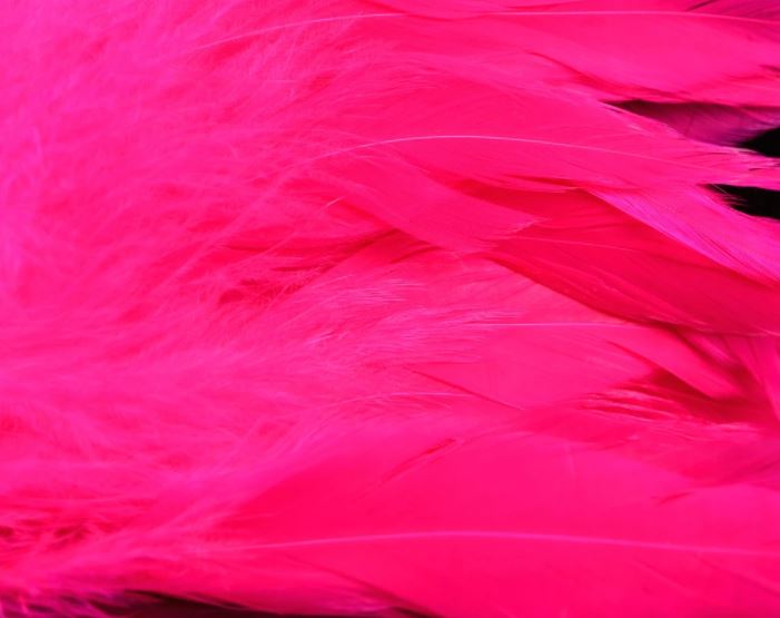 Fish Hunter Select Schlappen - Hackle - Fly Fish Food