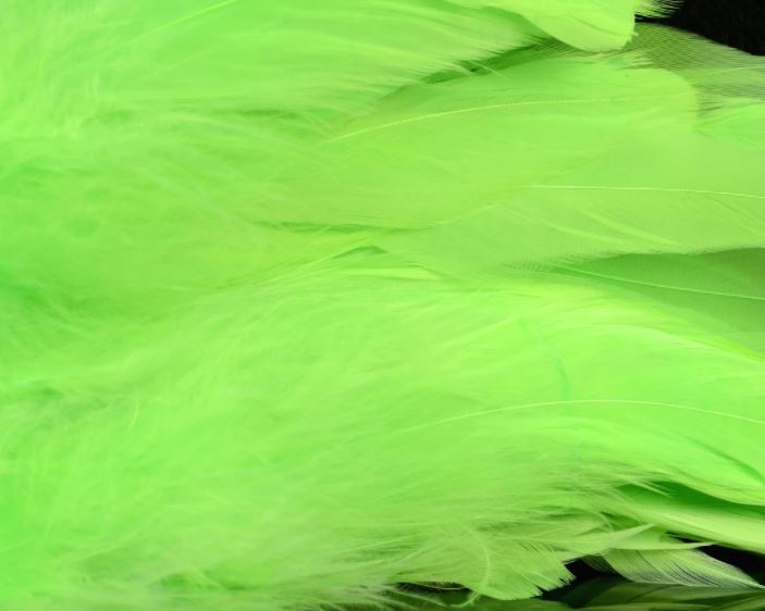 Fish Hunter Select Schlappen - Hackle - Fly Fish Food