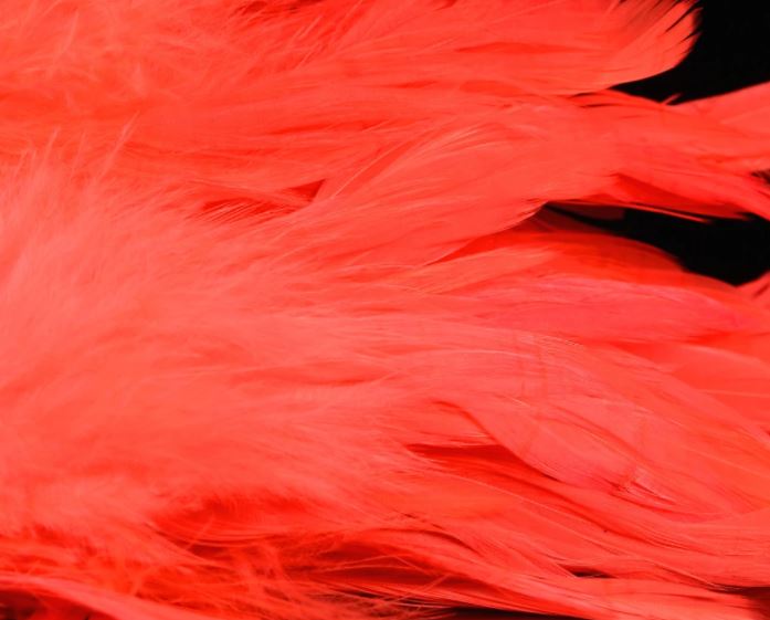 Fish Hunter Select Schlappen - Hackle - Fly Fish Food