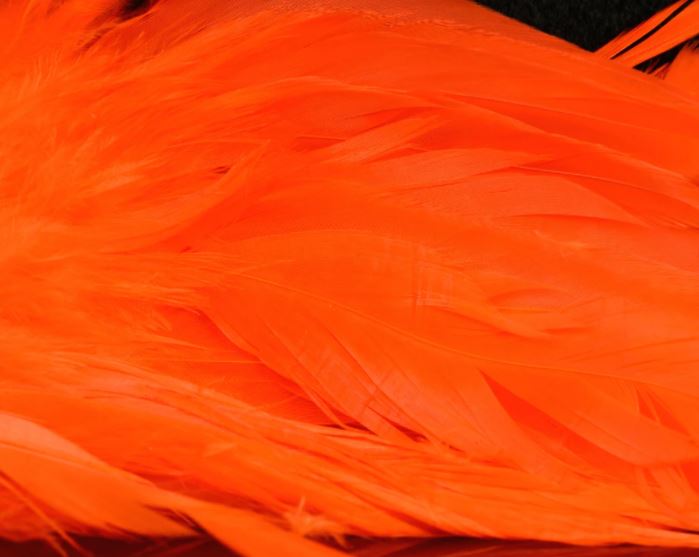 Fish Hunter Select Schlappen - Hackle - Fly Fish Food