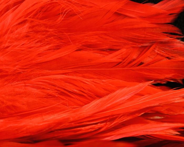 Fish Hunter Select Schlappen - Hackle - Fly Fish Food