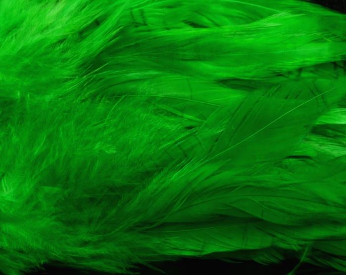 Fish Hunter Select Schlappen - Hackle - Fly Fish Food