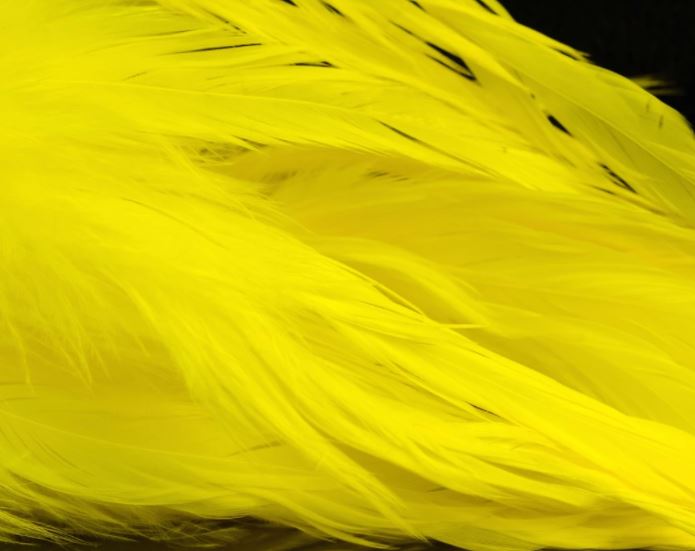 Fish Hunter Select Schlappen - Hackle - Fly Fish Food