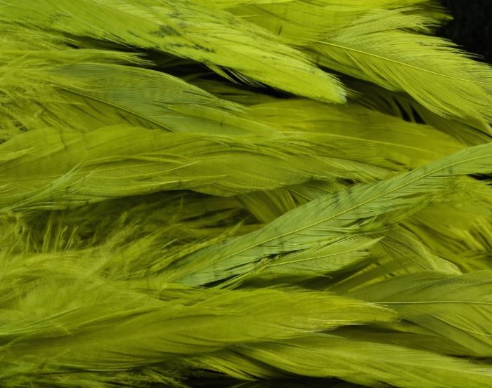 Fish Hunter Select Schlappen - Hackle - Fly Fish Food