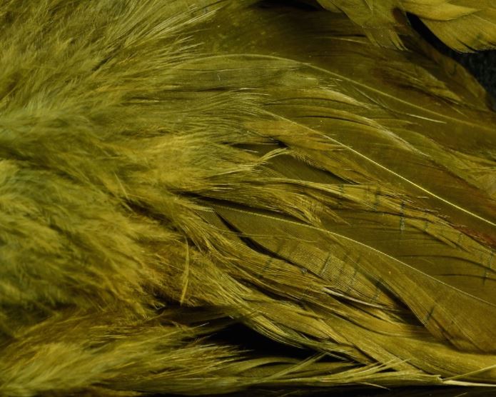 Fish Hunter Select Schlappen - Hackle - Fly Fish Food