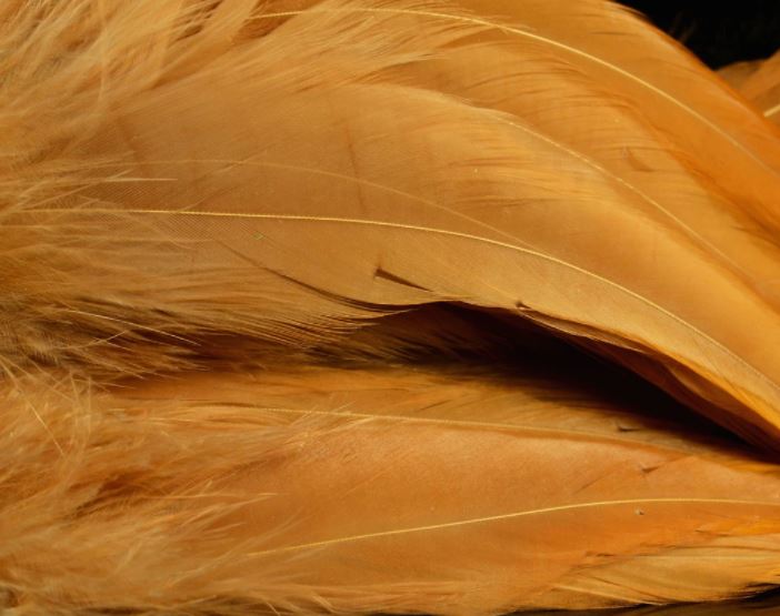 Fish Hunter Select Schlappen - Hackle - Fly Fish Food