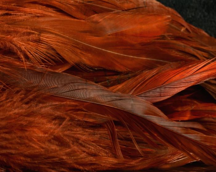 Fish Hunter Select Schlappen - Hackle - Fly Fish Food