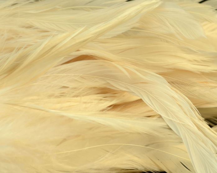 Fish Hunter Select Schlappen - Hackle - Fly Fish Food