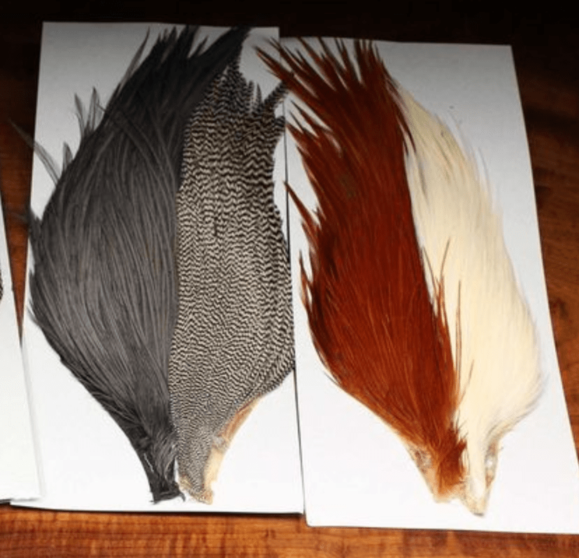 Tyers 4 Color Starter Cape Set - Hackle - Fly Fish Food
