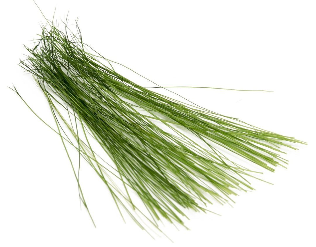 Semperfli Boar Bristles - Hair &amp; Fur - Fly Fish Food