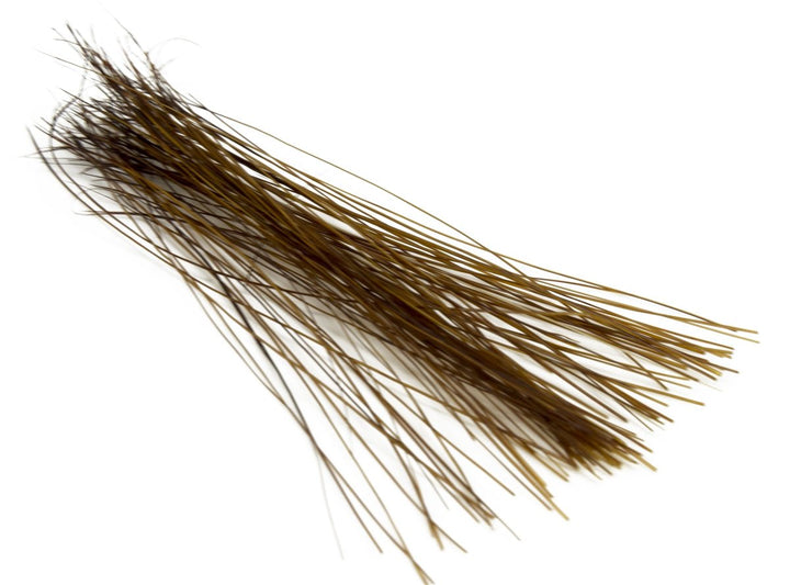 Semperfli Boar Bristles - Hair &amp; Fur - Fly Fish Food