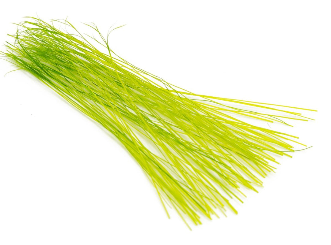 Semperfli Boar Bristles - Hair &amp; Fur - Fly Fish Food