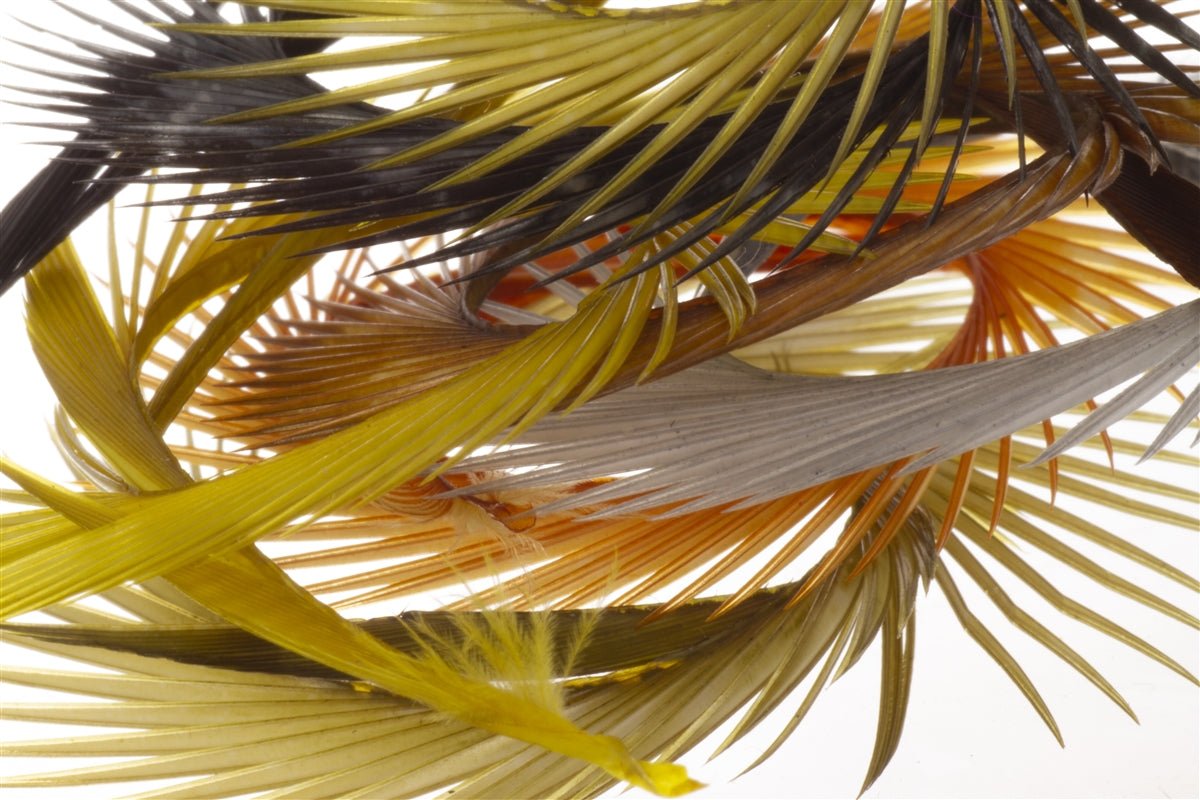 Semperfli Inferno Goose Biots - Feathers & Marabou - Fly Fish Food